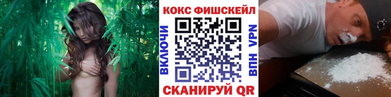 КОКАИН Эквадор  сколько стоит  Воткинск 