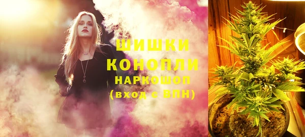 ГАЛЛЮЦИНОГЕННЫЕ ГРИБЫ Алзамай